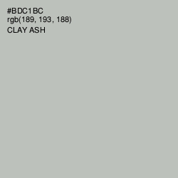 #BDC1BC - Clay Ash Color Image