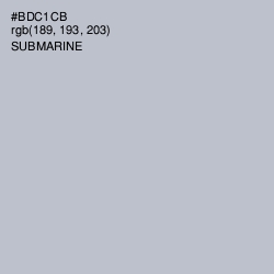 #BDC1CB - Submarine Color Image