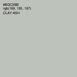 #BDC3BB - Clay Ash Color Image