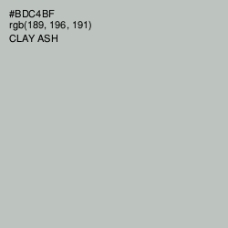 #BDC4BF - Clay Ash Color Image