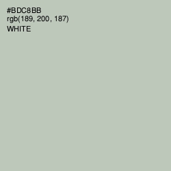 #BDC8BB - Clay Ash Color Image