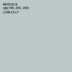 #BDC8C8 - Loblolly Color Image