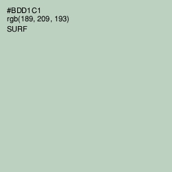 #BDD1C1 - Surf Color Image