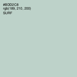 #BDD2C8 - Surf Color Image