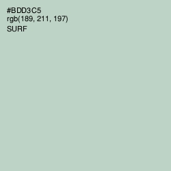 #BDD3C5 - Surf Color Image