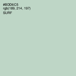 #BDD6C5 - Surf Color Image