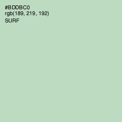 #BDDBC0 - Surf Color Image