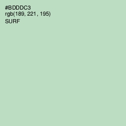 #BDDDC3 - Surf Color Image