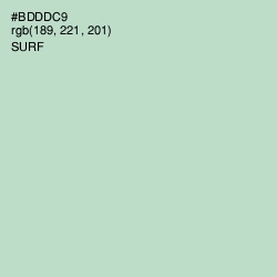 #BDDDC9 - Surf Color Image