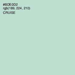 #BDE0D2 - Cruise Color Image