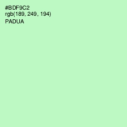 #BDF9C2 - Padua Color Image