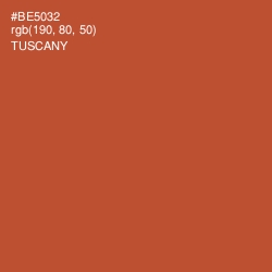 #BE5032 - Tuscany Color Image
