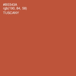 #BE543A - Tuscany Color Image