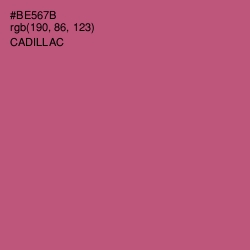 #BE567B - Cadillac Color Image