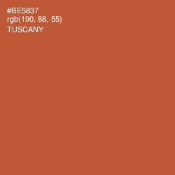 #BE5837 - Tuscany Color Image