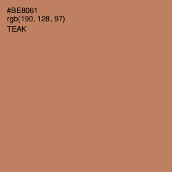 #BE8061 - Teak Color Image