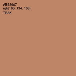 #BE8667 - Teak Color Image
