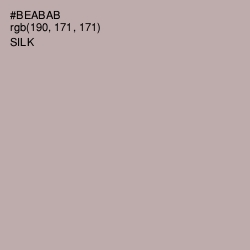 #BEABAB - Silk Color Image
