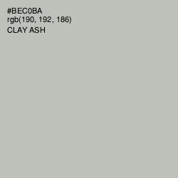 #BEC0BA - Clay Ash Color Image
