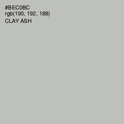 #BEC0BC - Clay Ash Color Image