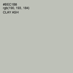 #BEC1B8 - Clay Ash Color Image