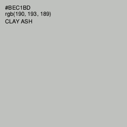 #BEC1BD - Clay Ash Color Image