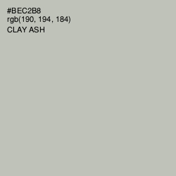 #BEC2B8 - Clay Ash Color Image