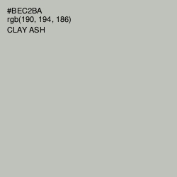 #BEC2BA - Clay Ash Color Image