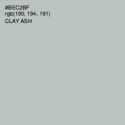 #BEC2BF - Clay Ash Color Image