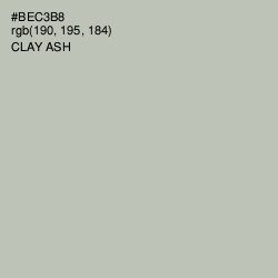 #BEC3B8 - Clay Ash Color Image