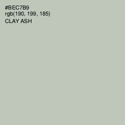 #BEC7B9 - Clay Ash Color Image