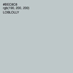 #BEC8C8 - Loblolly Color Image