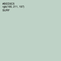 #BED3C5 - Surf Color Image