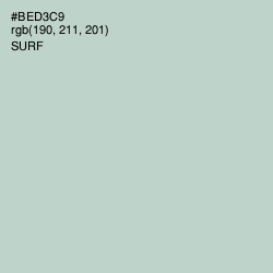 #BED3C9 - Surf Color Image