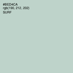 #BED4CA - Surf Color Image