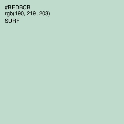 #BEDBCB - Surf Color Image