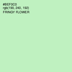 #BEF0C0 - Fringy Flower Color Image