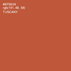 #BF583A - Tuscany Color Image