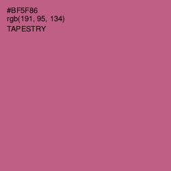 #BF5F86 - Tapestry Color Image