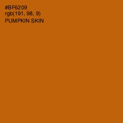 #BF6209 - Pumpkin Skin Color Image