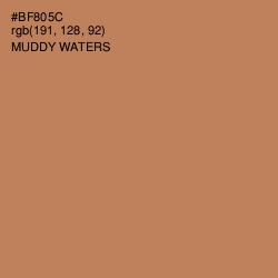 #BF805C - Muddy Waters Color Image