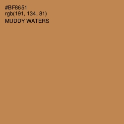 #BF8651 - Muddy Waters Color Image