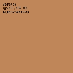 #BF8759 - Muddy Waters Color Image