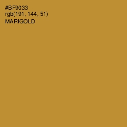 #BF9033 - Marigold Color Image