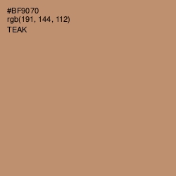 #BF9070 - Teak Color Image