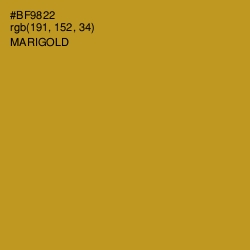 #BF9822 - Marigold Color Image