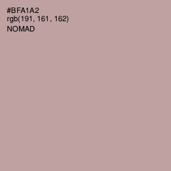 #BFA1A2 - Nomad Color Image
