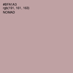 #BFA1A3 - Nomad Color Image