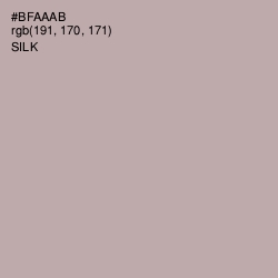#BFAAAB - Silk Color Image
