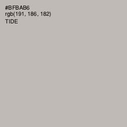 #BFBAB6 - Tide Color Image